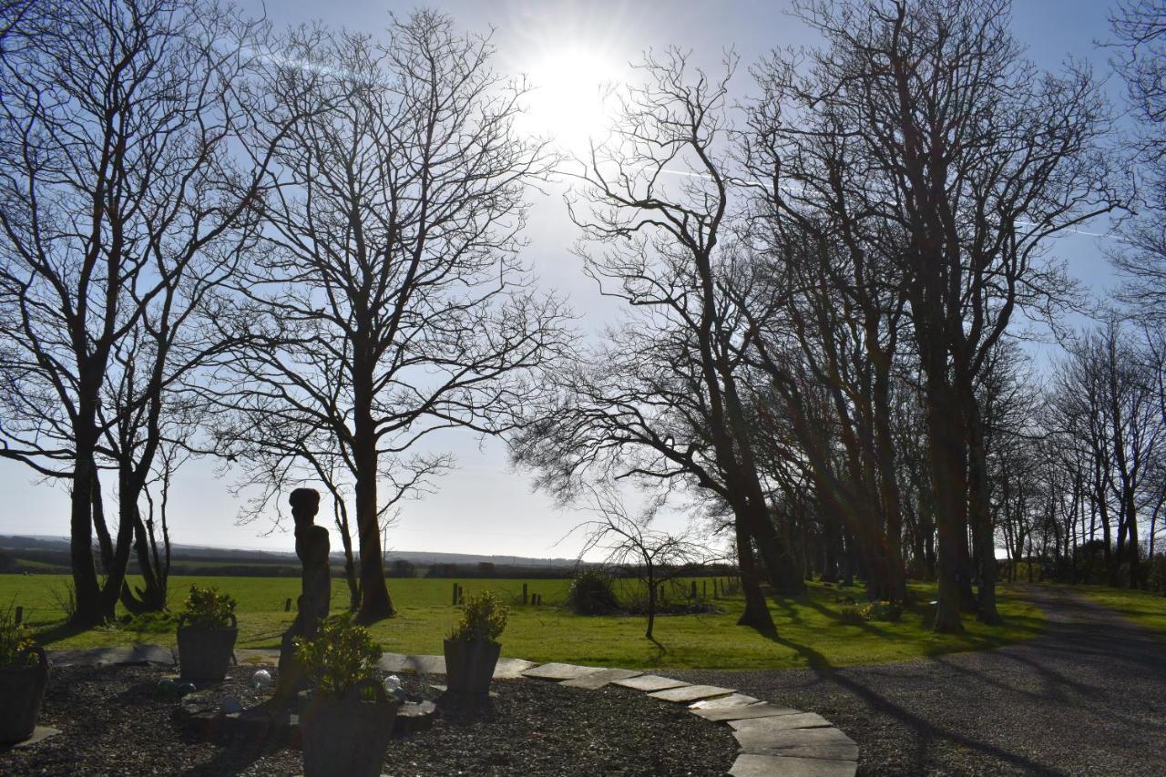 Crug Glas Country House St. Davids  Exterior foto