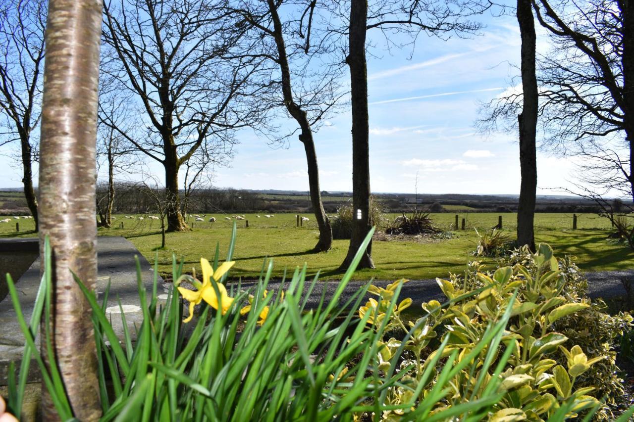 Crug Glas Country House St. Davids  Exterior foto